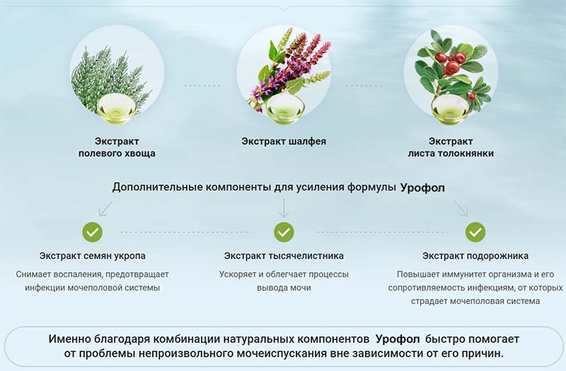 Состав Урофол